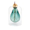 Avocado Seed Glass Vase