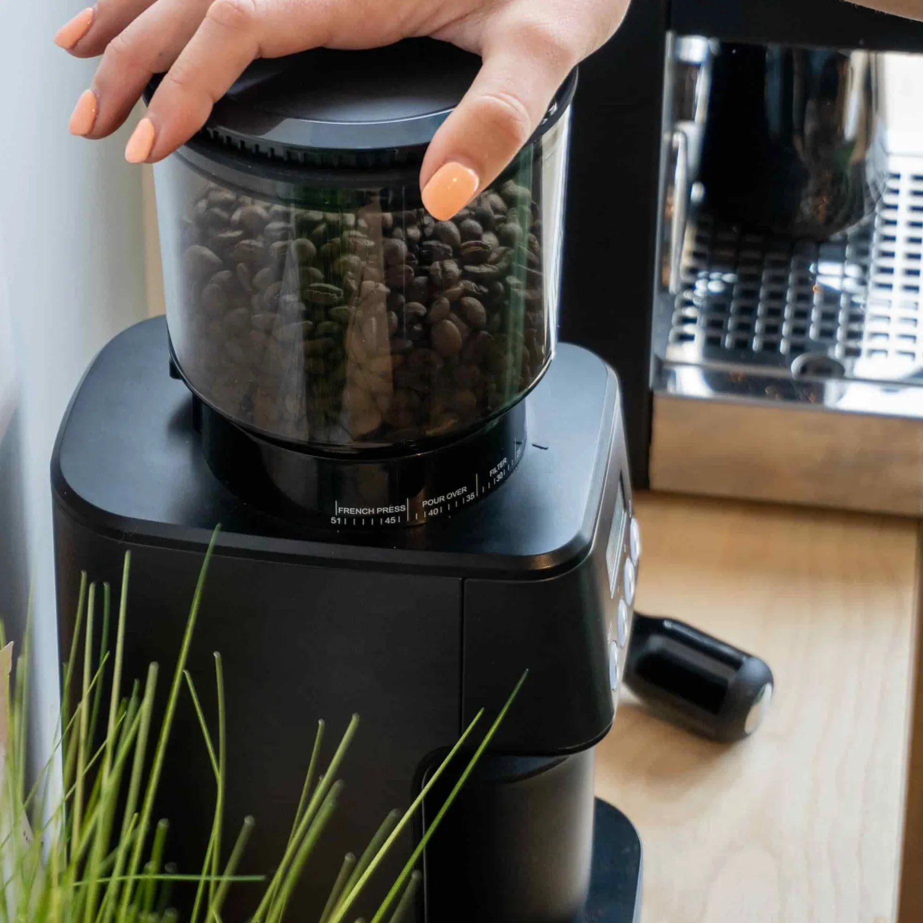 Barista & Co Core All Grind Plus