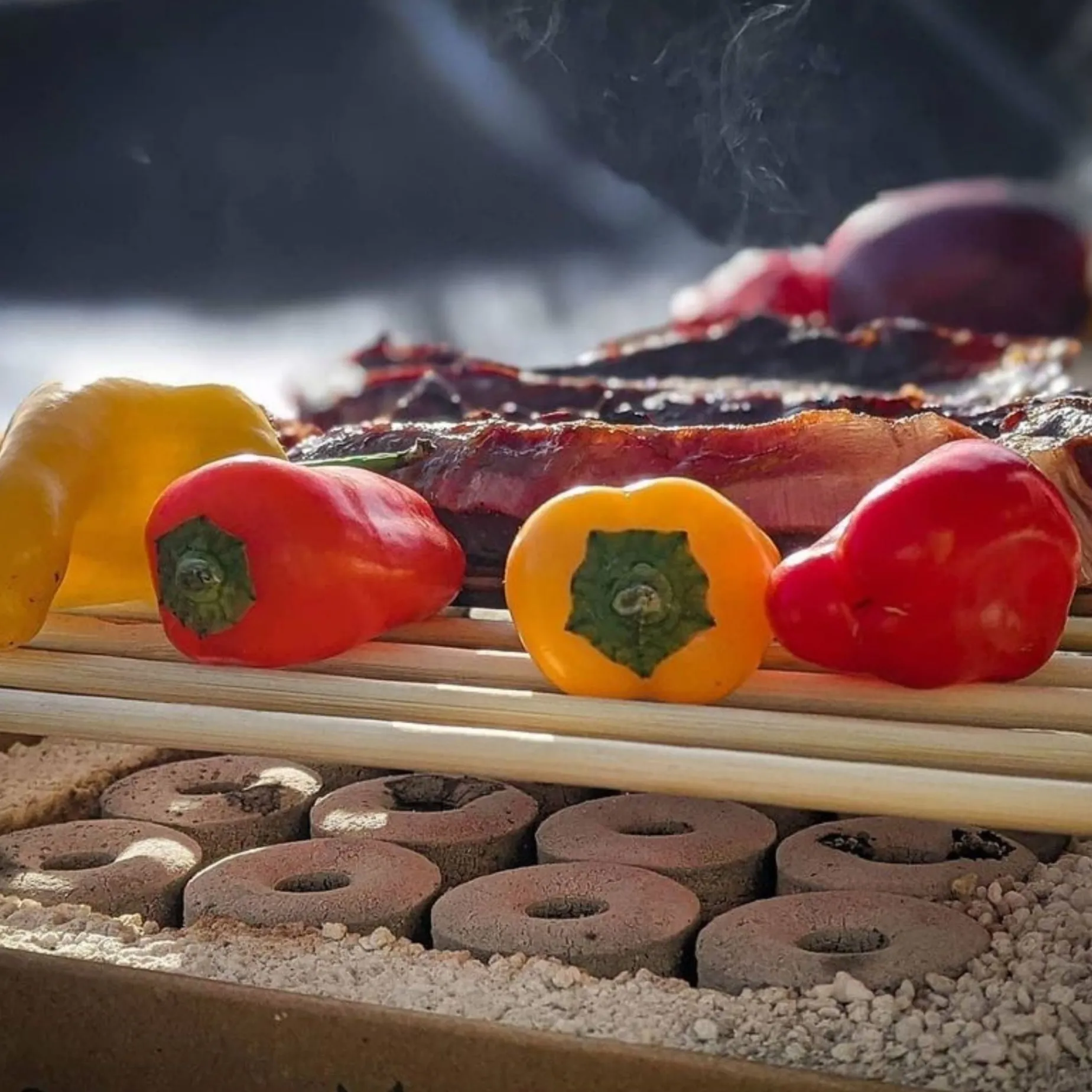 CasusGrill Disposable Eco BBQ