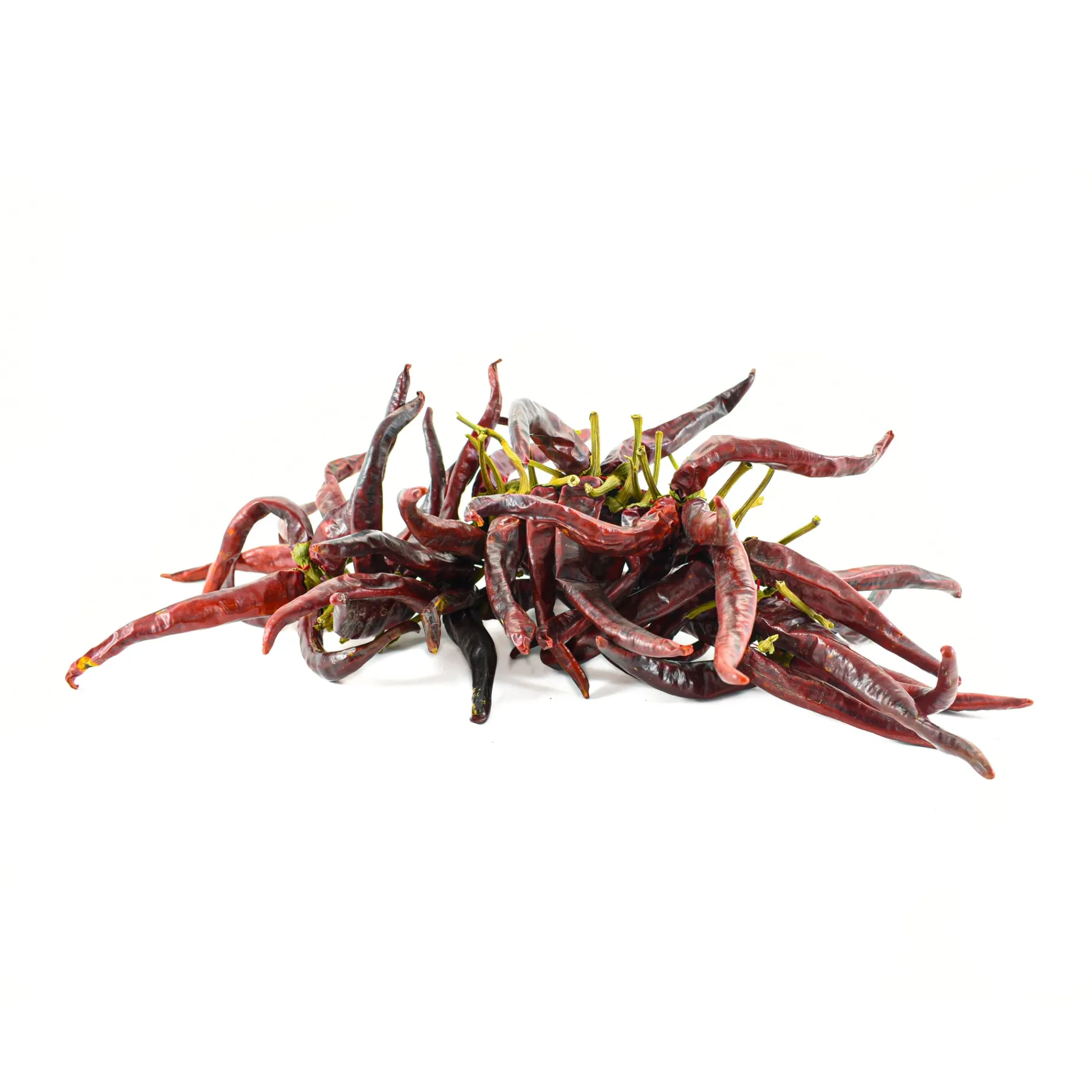 Guindilla Pepper Ristra - String of 50
