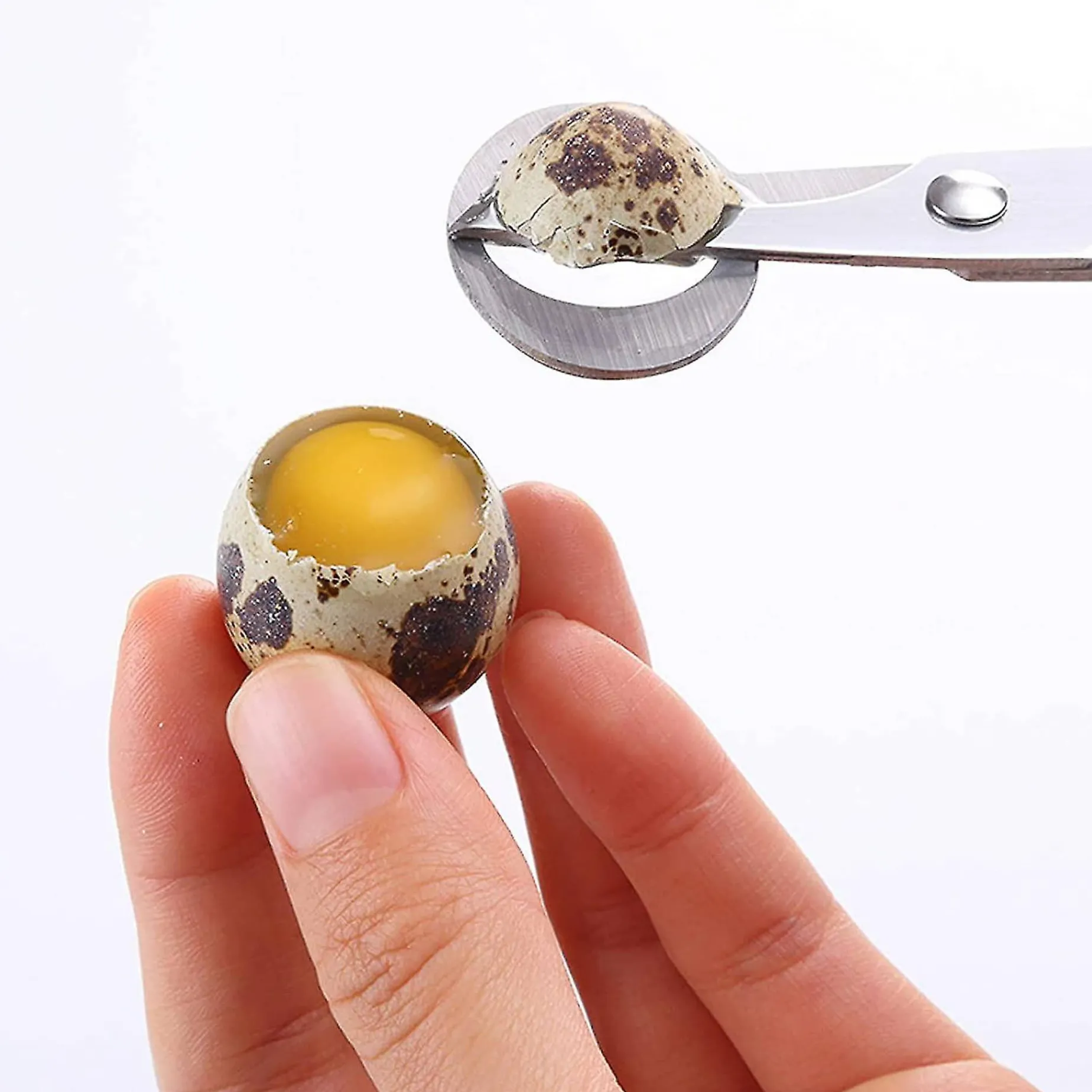 Japanese Quail Egg Scissors