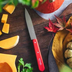 Opinel No 112 Red Beechwood Handle Paring Knife, 10cm