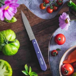 Opinel No 113 Violet Beechwood Handle Serrated Paring Knife, 10cm