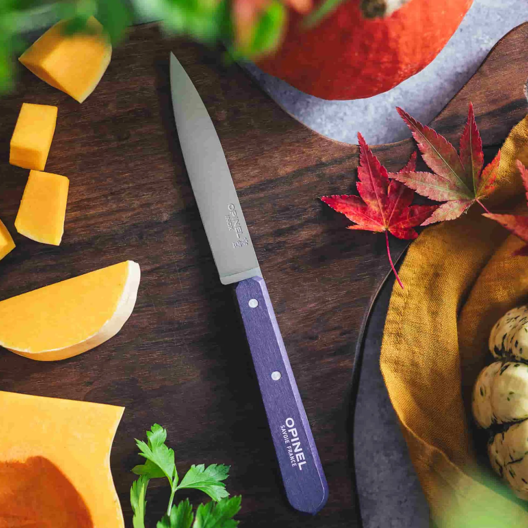 Opinel No 112 Violet Beechwood Handle Paring Knife, 10cm