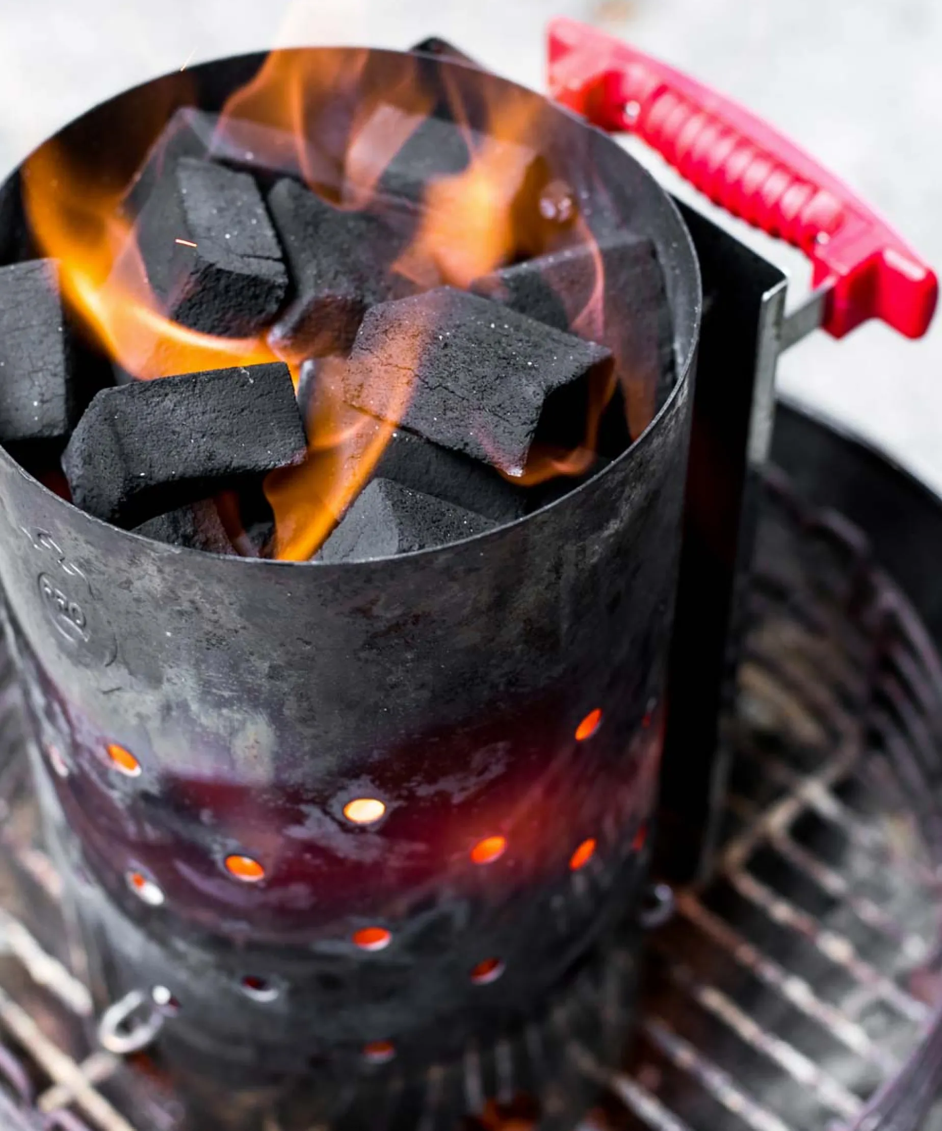 ProQ Cocoshell Briquettes, 10kg