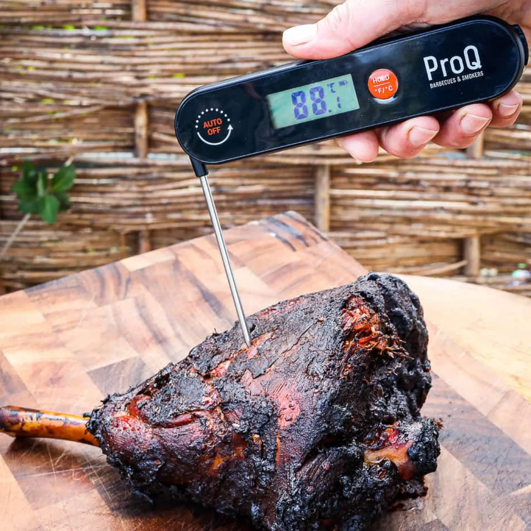 ProQ Digital Instant Read Thermometer - Rechargeable
