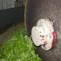 Puglian Olive Oil with Basil in Terracotta Bottle, 250ml