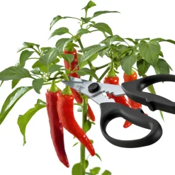 Triangle Take Apart Kitchen & Herb Scissors