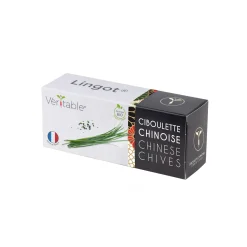 Veritable Asian Lingot Insert, Organic Chinese Chives