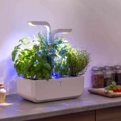 Veritable Classic Indoor Herb Garden