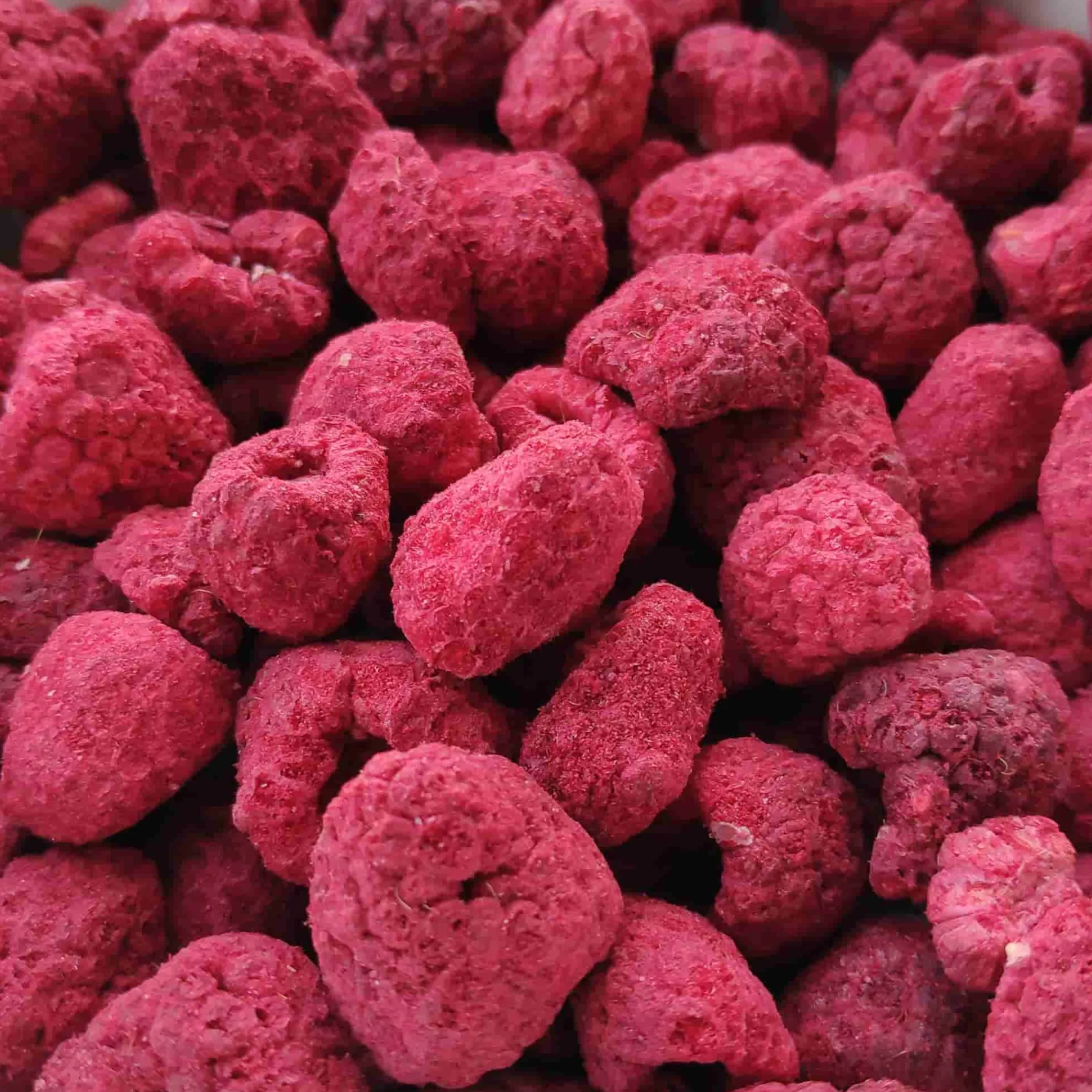 ZingyZoo Freeze Dried Whole Raspberries, 90g